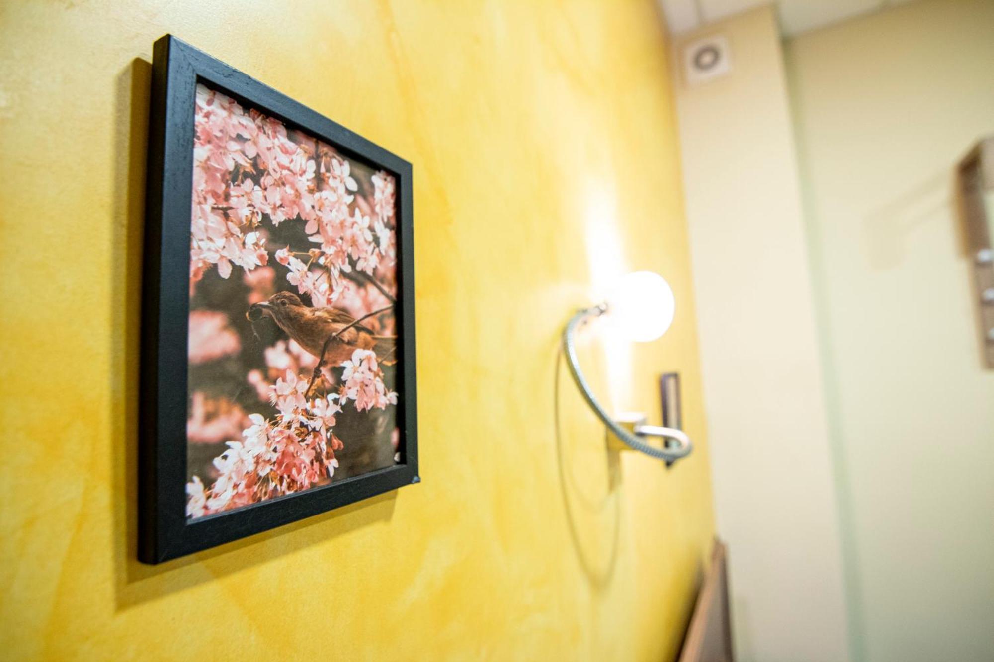 Comfort & Cozy Apartment In Sofia Center Εξωτερικό φωτογραφία